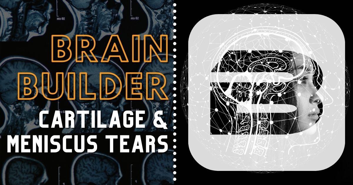 BodyViz Brain Builder: Cartilage and Meniscus Tears