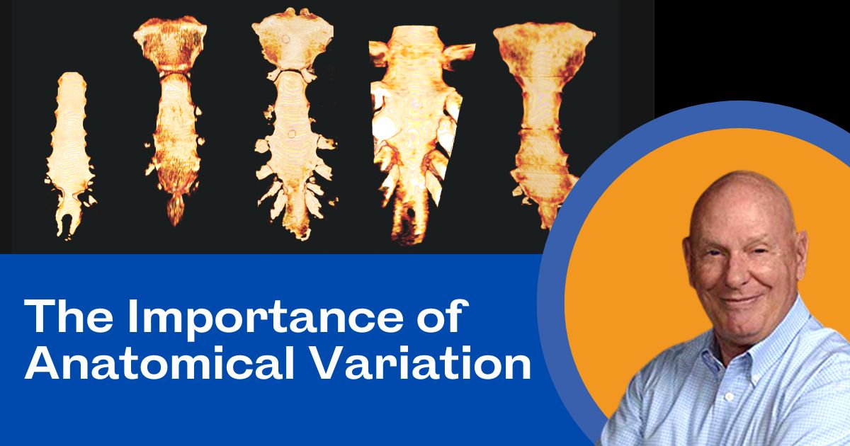 The Importance of Anatomical Variations with BodyViz 3D Anatomy