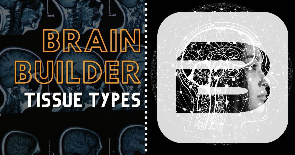 In this Brain Builder, we discuss the four primary tiss